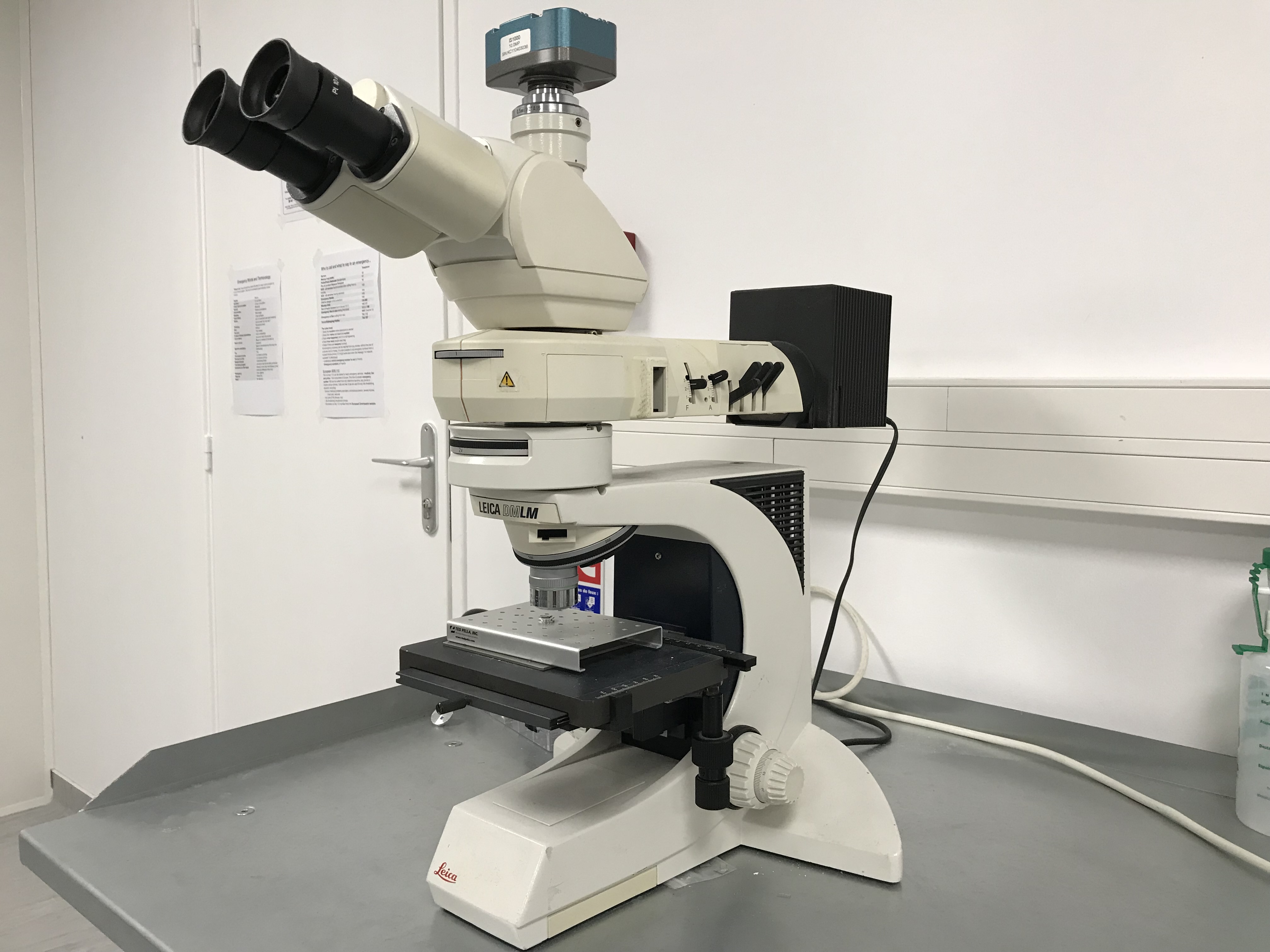 OPTICAL MICROSCOPE Texplained